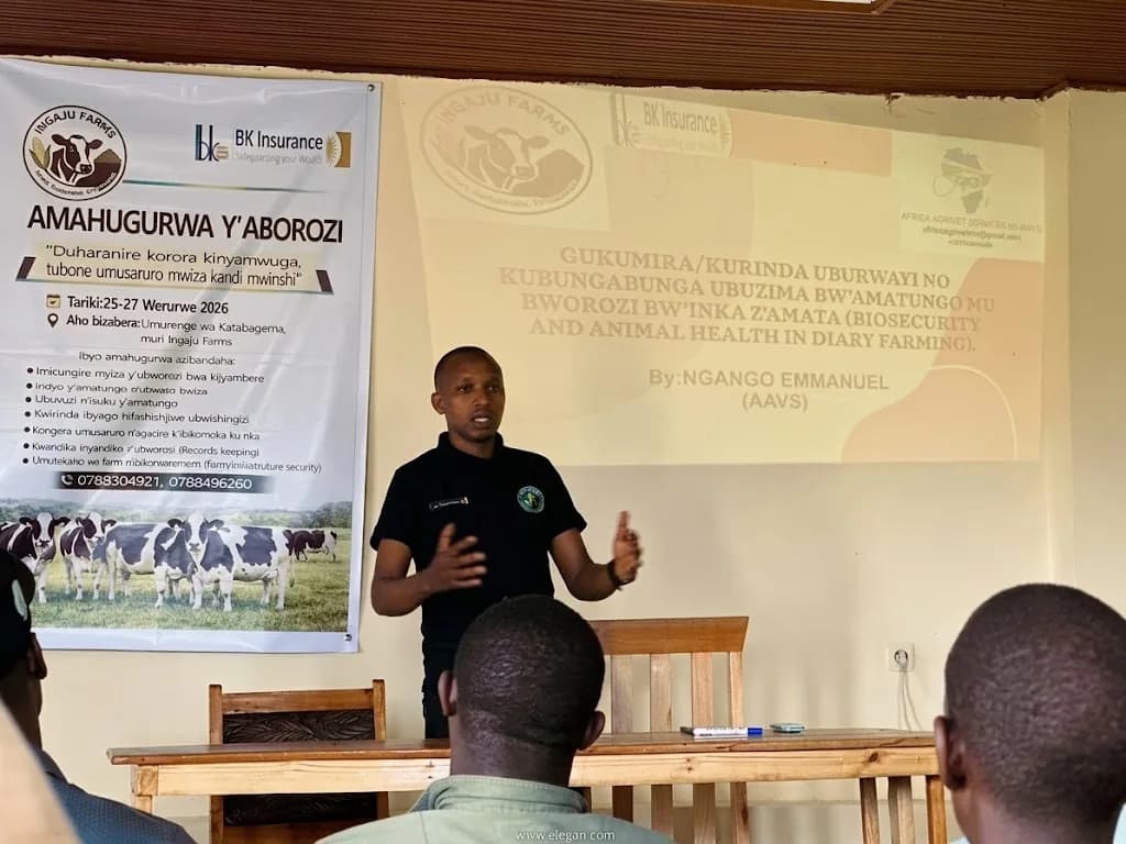 Trainer presenting on biosecurity and animal health in dairy farming