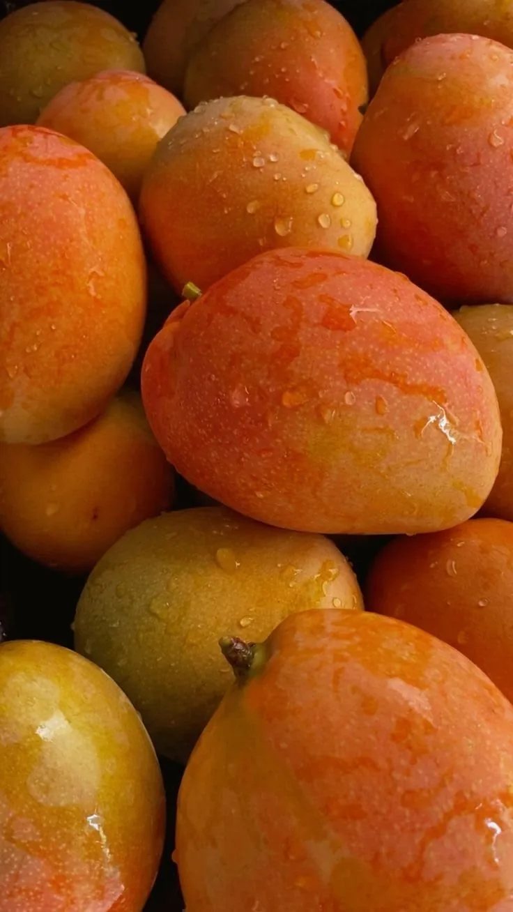 Mangoes