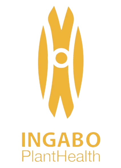 Ingabo